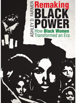 Remaking Black Power: How Black Women Transformed an Era (Justice, Power, and Politics)