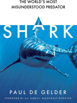 Shark: Why we need to save the world’s most misunderstood predator – for Shark Week, Seaspiracy and conservation fans